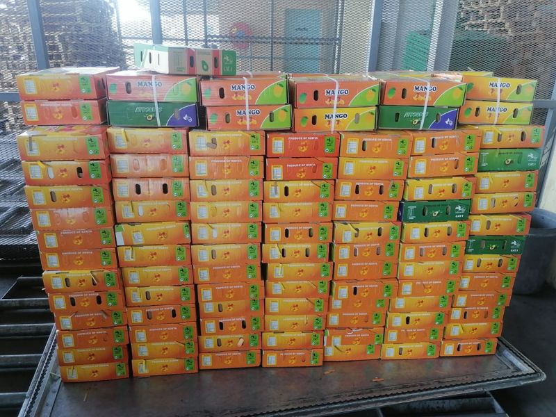 Apple Mango