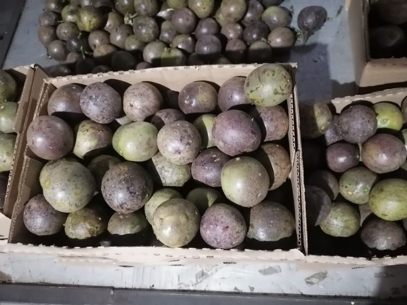 Passion Fruit