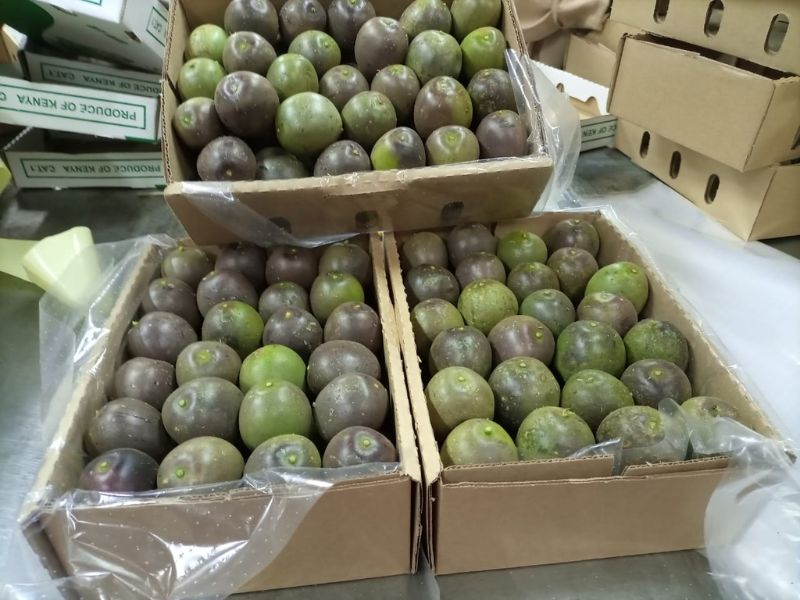 Passion Fruit - Kenya Export | KenFru Veg Produce