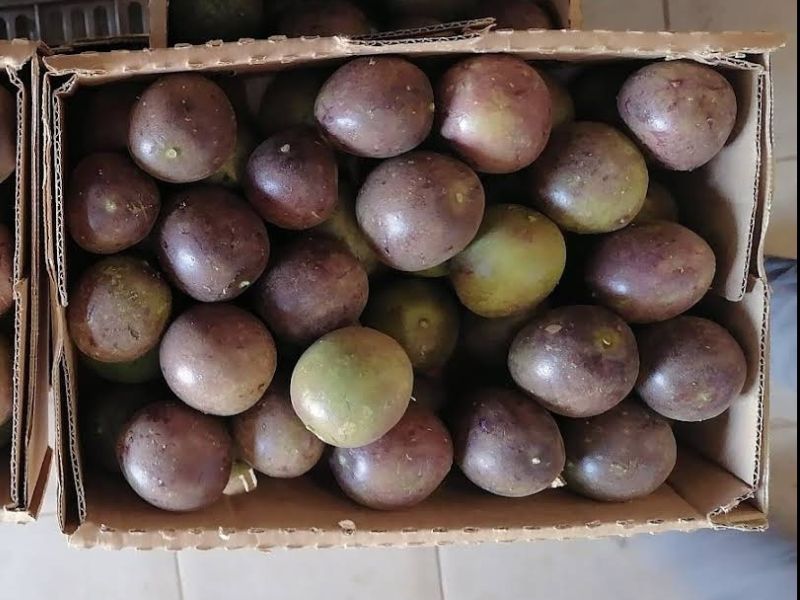 Passion Fruit