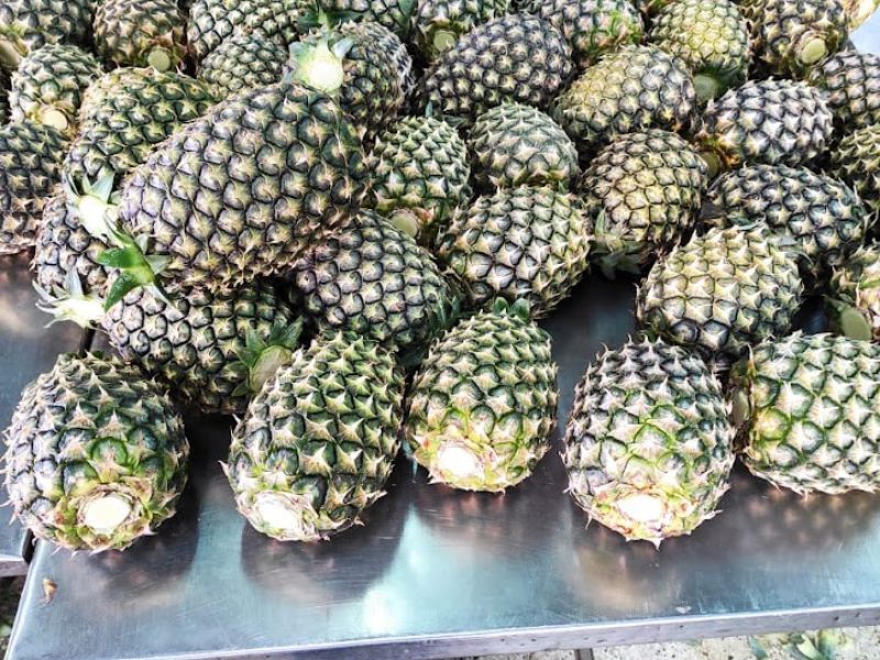 Pineapple - Kenya Export | KenFru Veg Produce