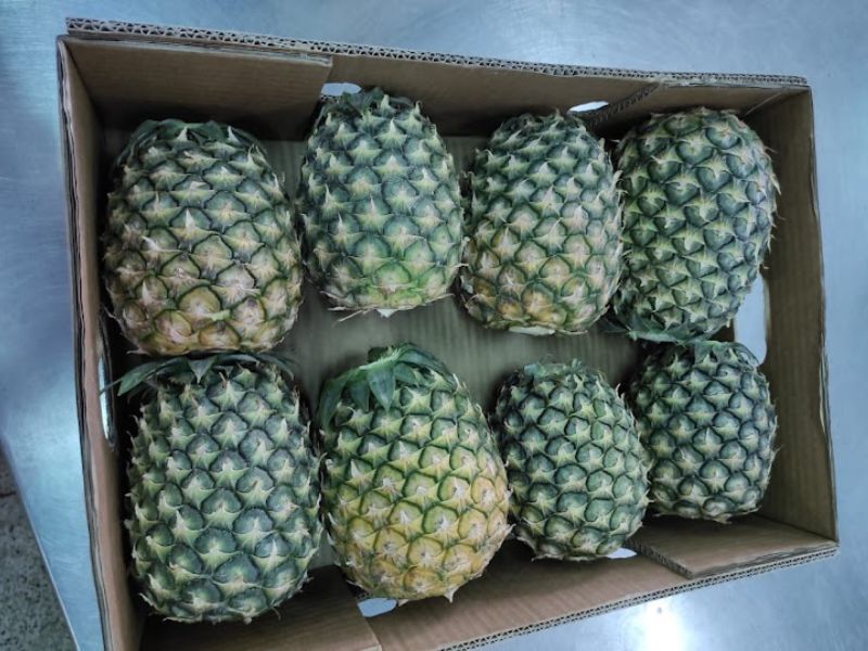 Pineapple