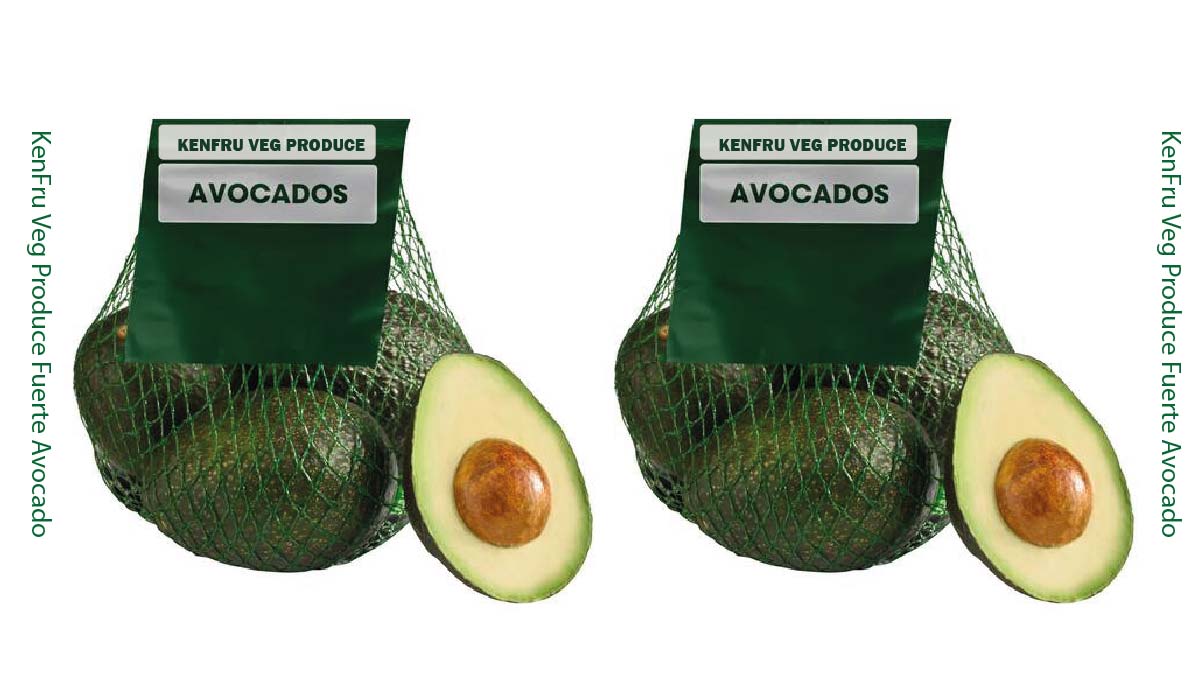 Fuerte Avocado