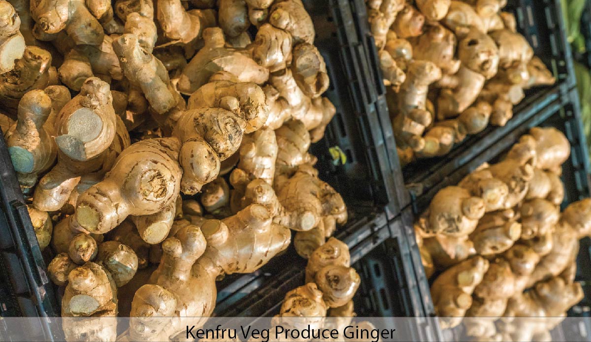 Ginger