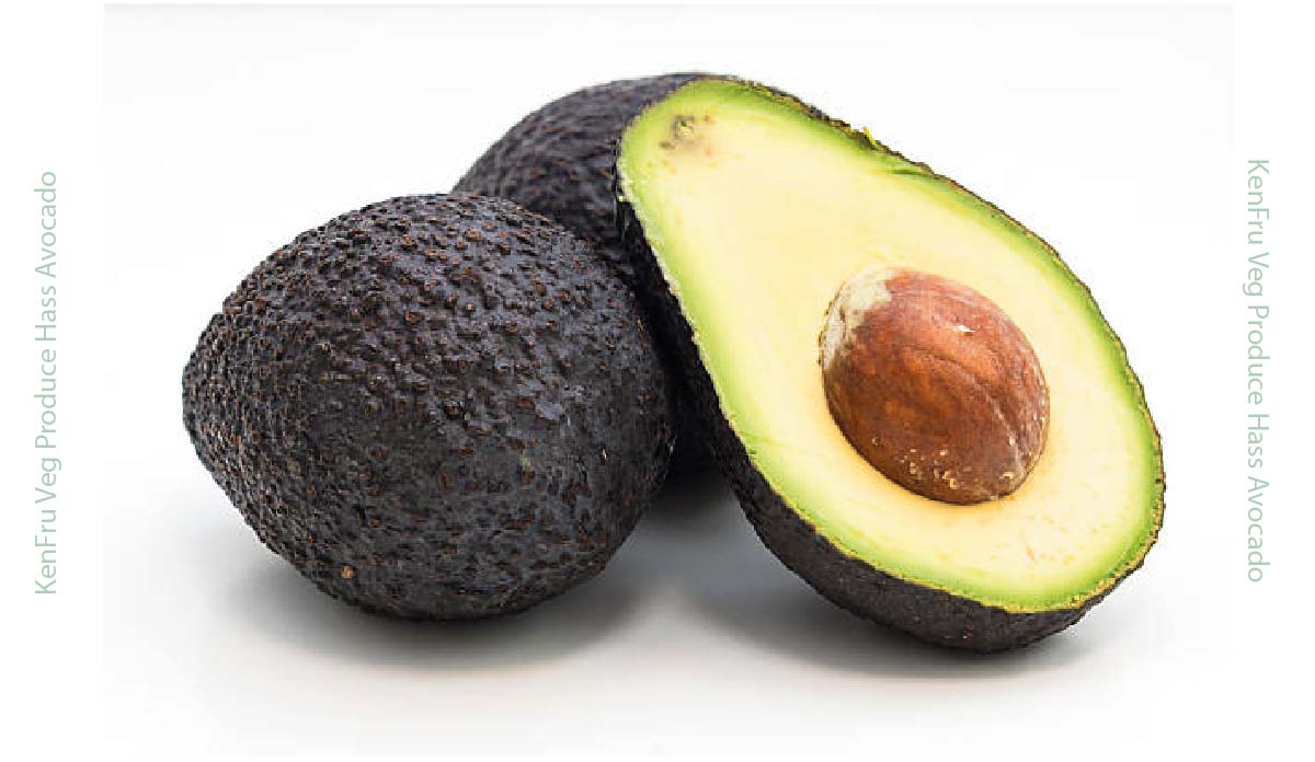 Hass Avocado
