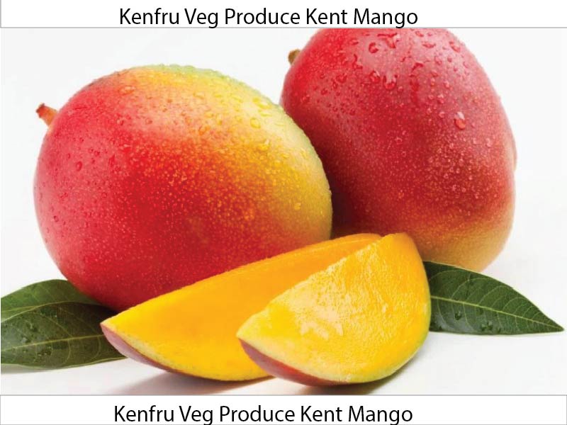 Kent Mango - Kenya Export | KenFru Veg Produce