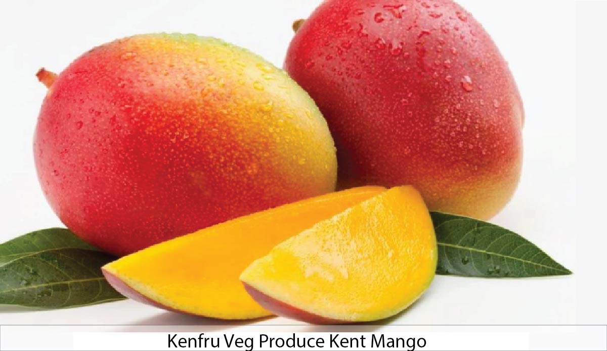 Kent Mango